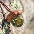 Vine Terrarium Pendant