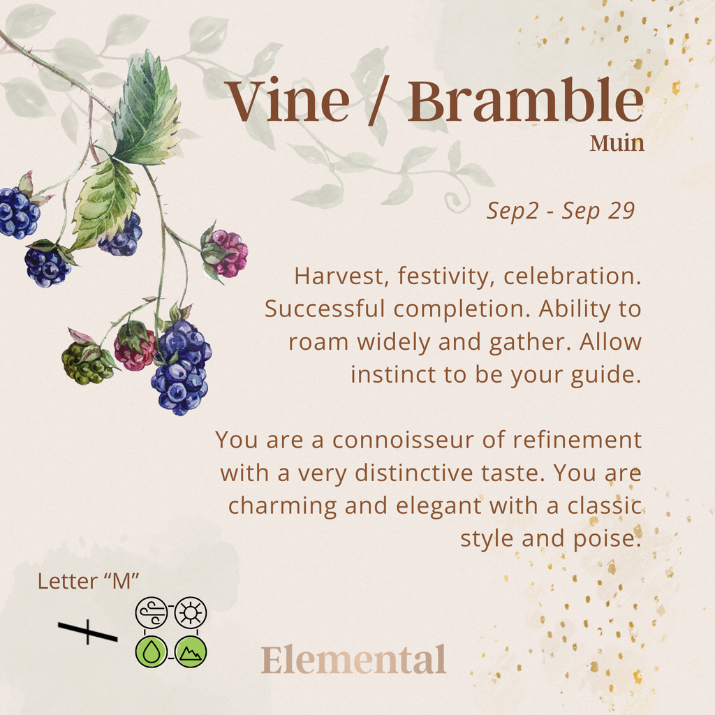 Vine Terrarium Pendant