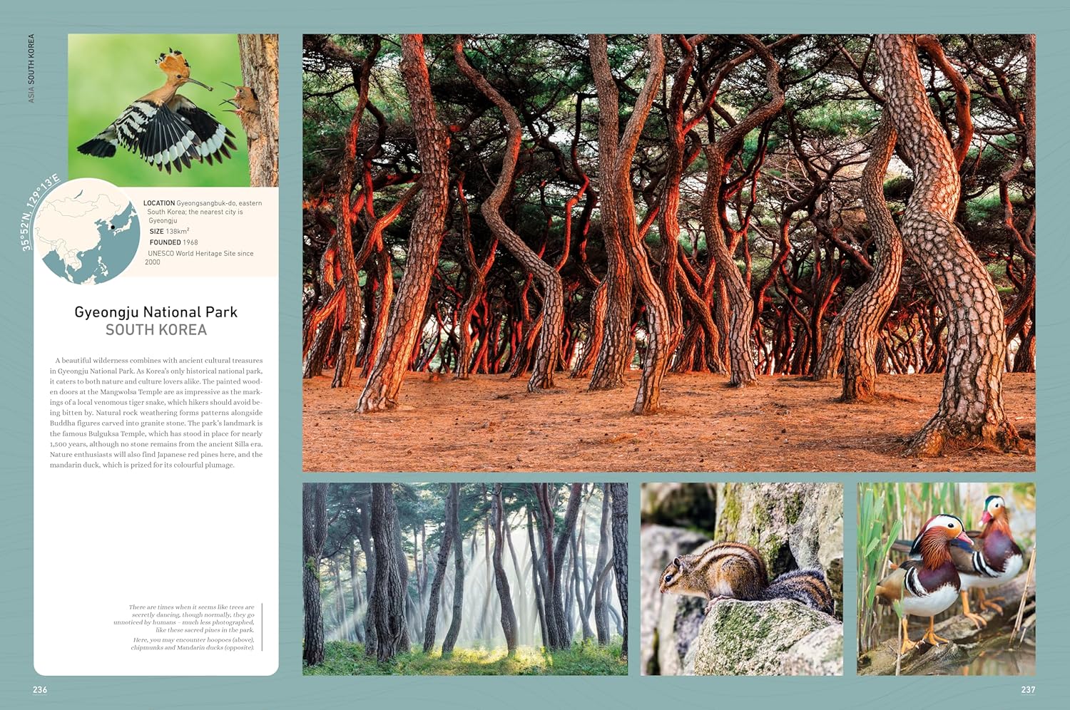 Rough Guides Wild Earth: Discover the World's Wildest Places