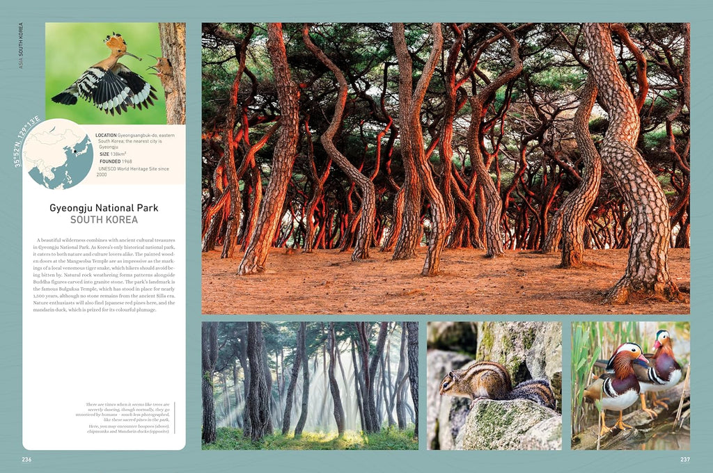 Rough Guides Wild Earth: Discover the World's Wildest Places