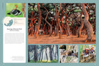 Rough Guides Wild Earth: Discover the World's Wildest Places