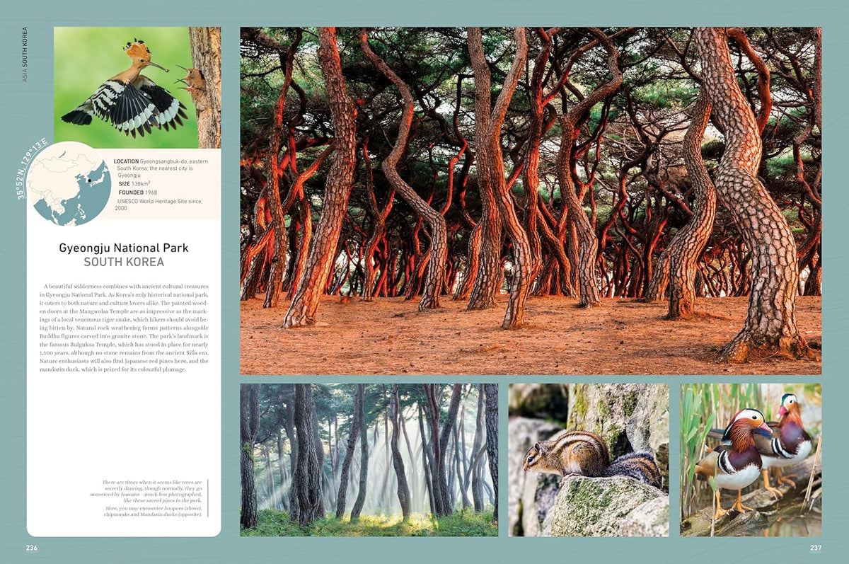 Rough Guides Wild Earth: Discover the World's Wildest Places