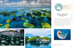 Rough Guides Wild Earth: Discover the World's Wildest Places