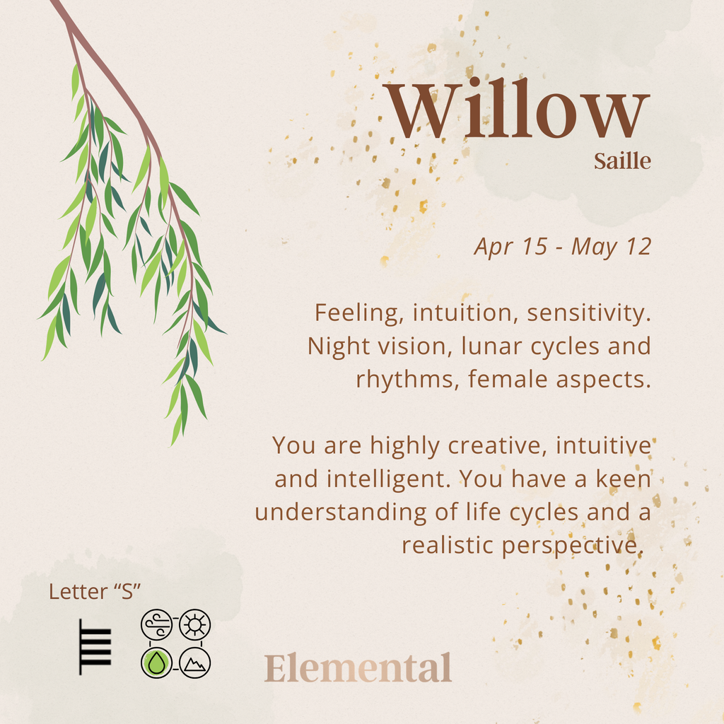 Willow Terrarium Pendant
