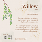 Willow Terrarium Pendant