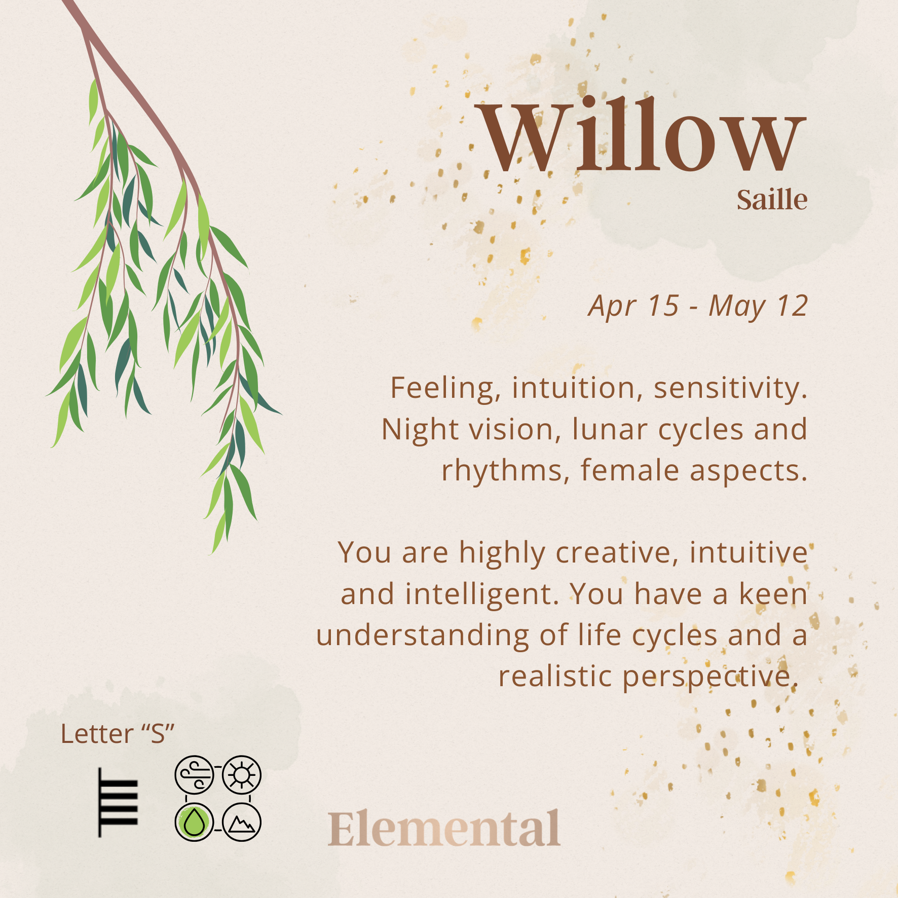Willow Terrarium Pendant