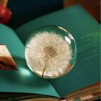 Real Dandelion Crystal Glass Resin Lens Ball