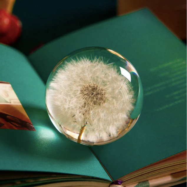 Real Dandelion Crystal Glass Resin Lens Ball