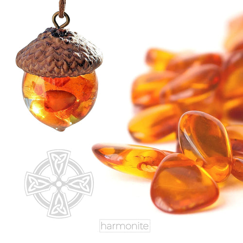 Baltic Amber Terrarium Pendant