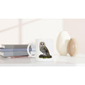Barn Owl Bird Mug – Ceramic Wildlife Coffee Cup