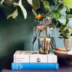 Decorative setup with books, a glass jar with butterfly decorations, and plants on a table.