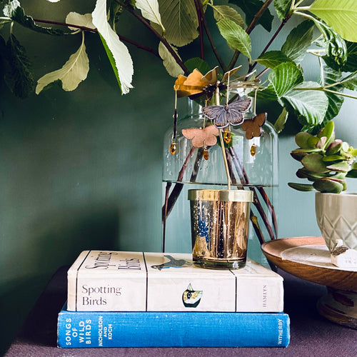 Decorative setup with books, a glass jar with butterfly decorations, and plants on a table.