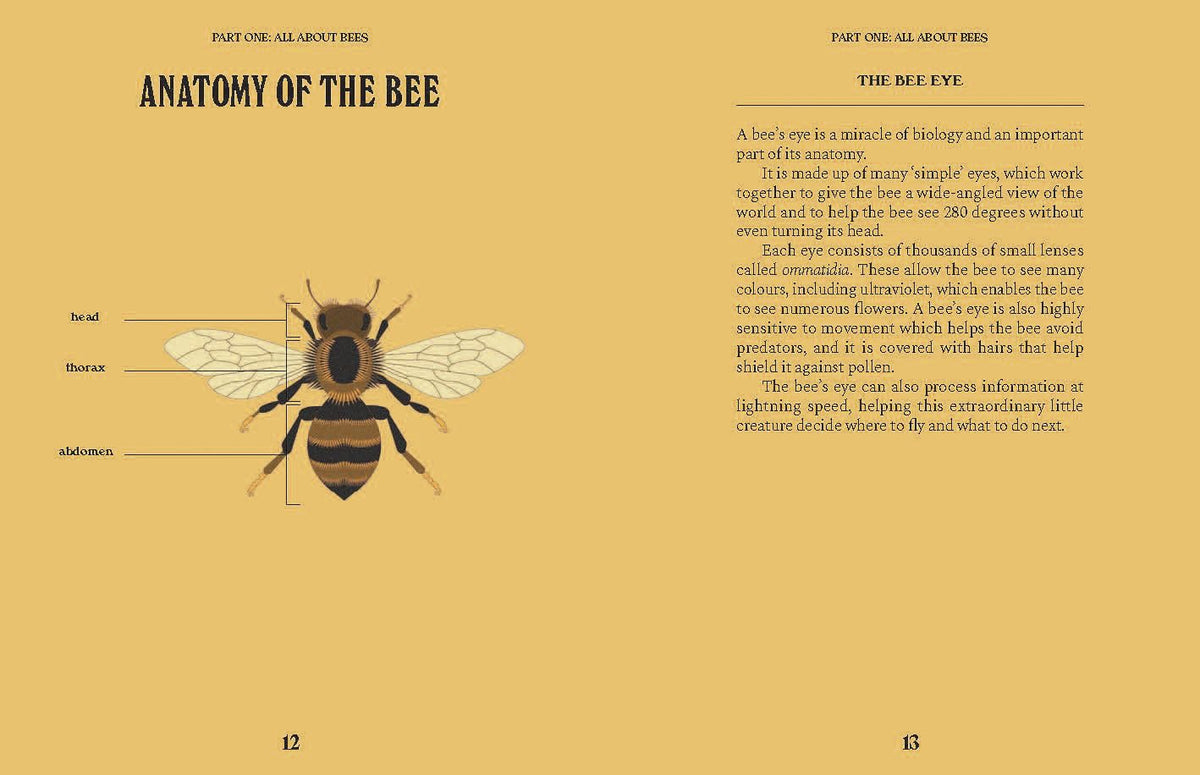Bees by Susan E. Clark