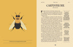 Bees by Susan E. Clark