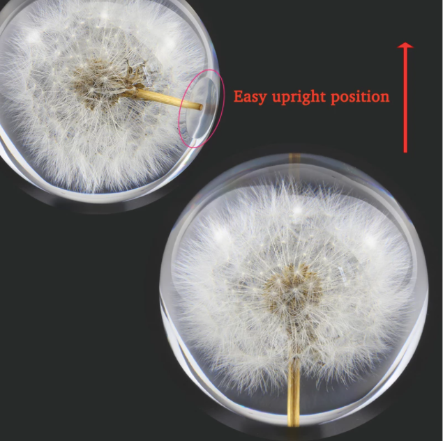 Real Dandelion Crystal Glass Resin Lens Ball
