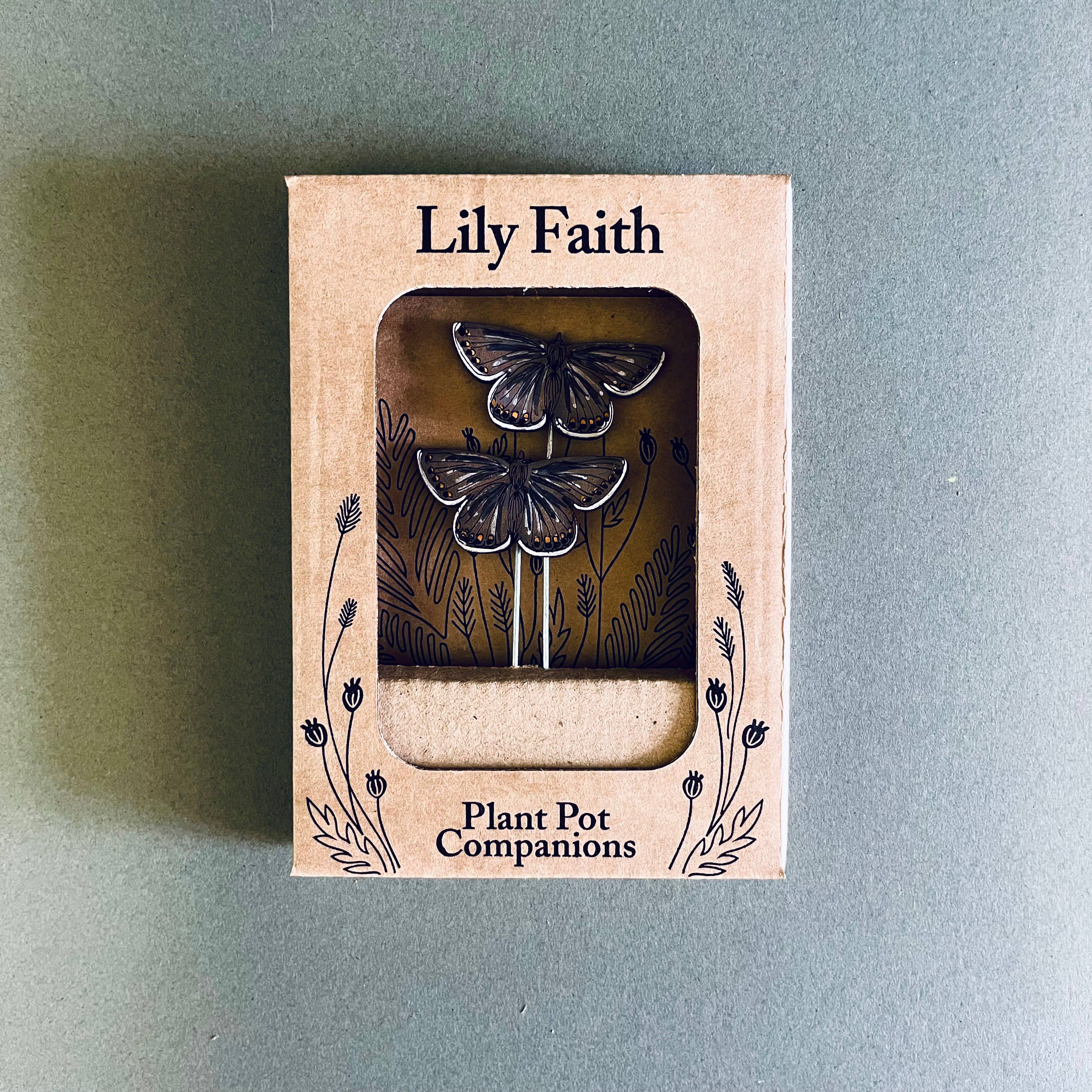 Common Blue Butterfly Plant Pot Companions 