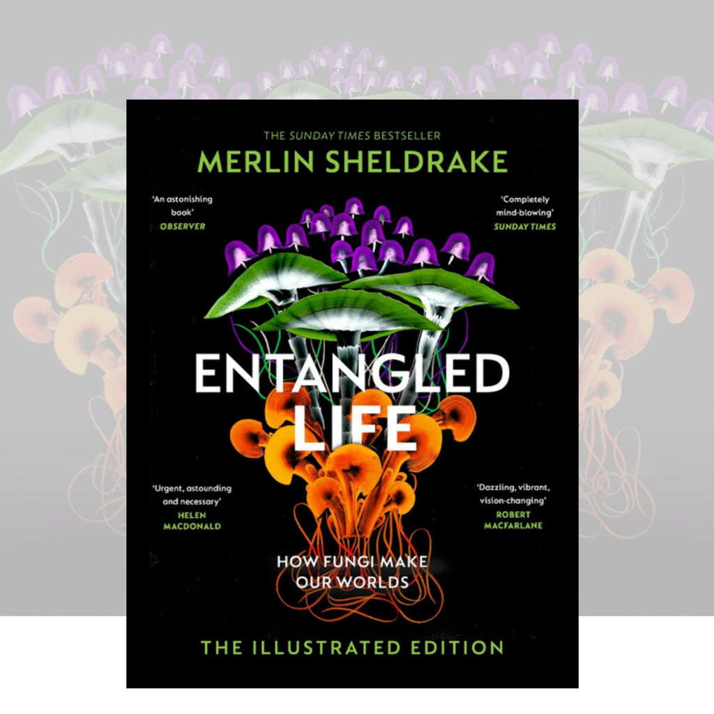 Entangled Life (The Illustrated Edition) by Merlin Sheldrake