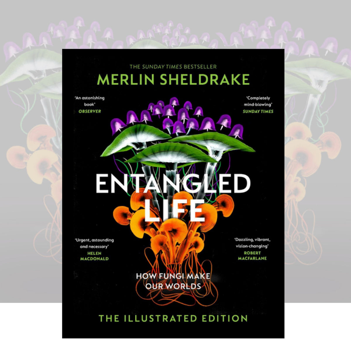Entangled Life (The Illustrated Edition) by Merlin Sheldrake