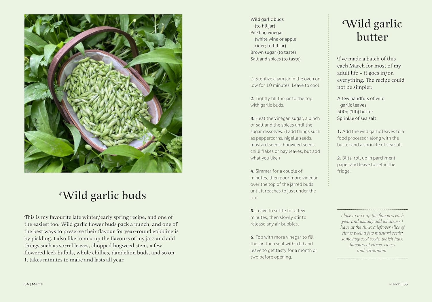 The Forager's Almanac
