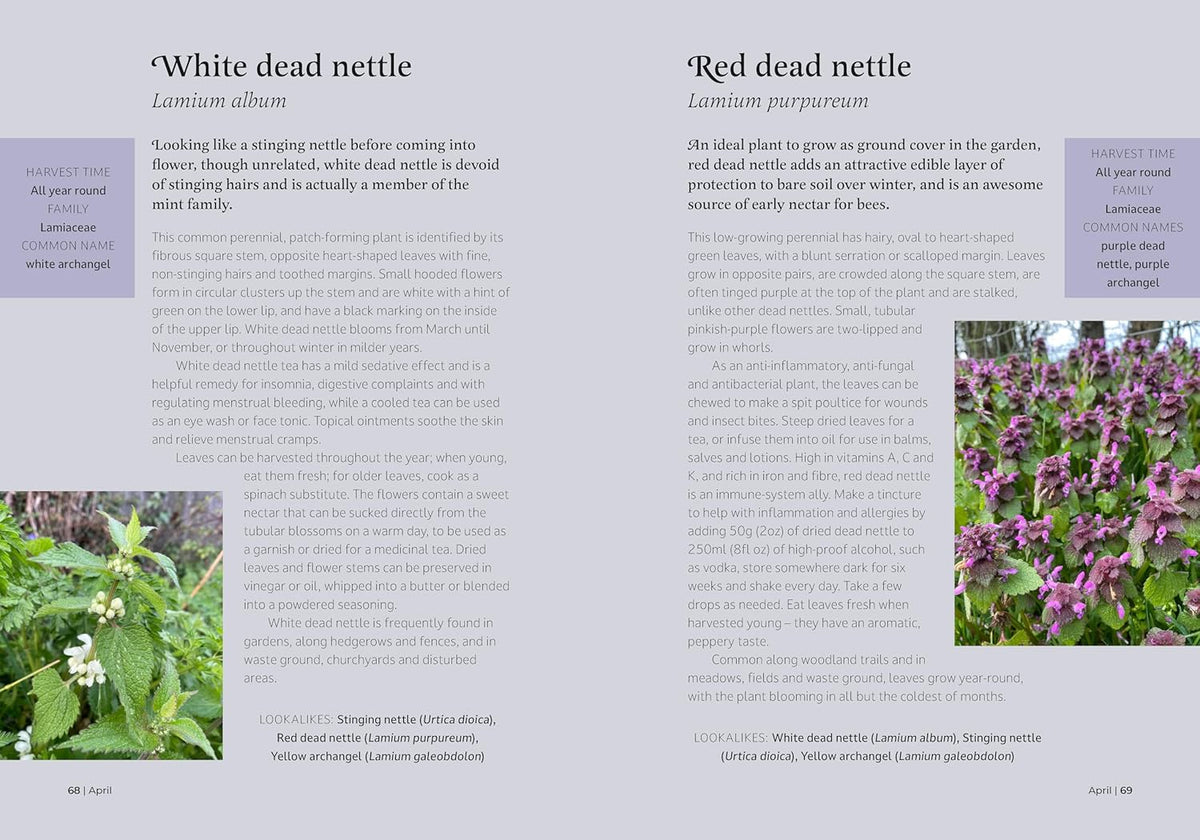 The Forager's Almanac: A year of sustainable foraging, wildcraft and recipes by Danielle Gallacher