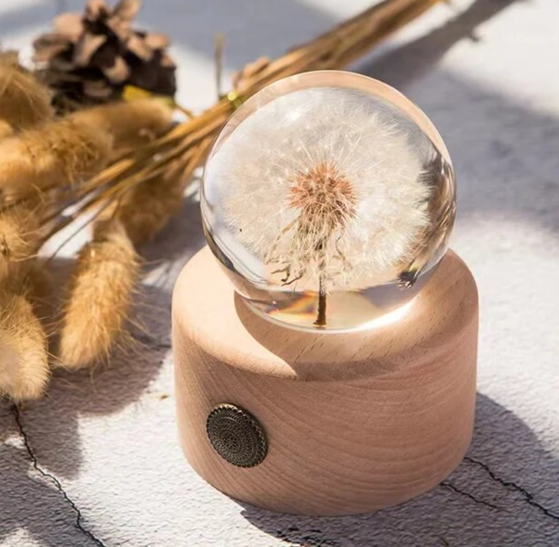 Real Dandelion Crystal Glass Resin Lens Ball