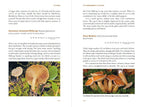 The Forager's Calendar: A Seasonal Guide to Nature’s Wild Harvests by John Wright