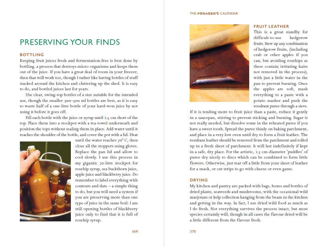 The Forager's Calendar: A Seasonal Guide to Nature’s Wild Harvests