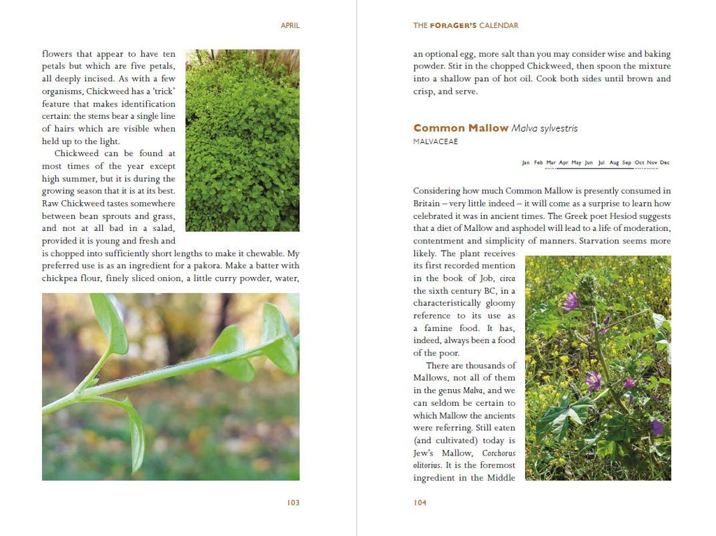 The Forager's Calendar: A Seasonal Guide to Nature’s Wild Harvests by John Wright