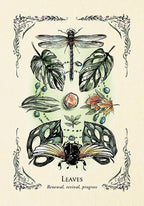 The Green Witch Oracle Cards by Arin Murphy-Hiscock