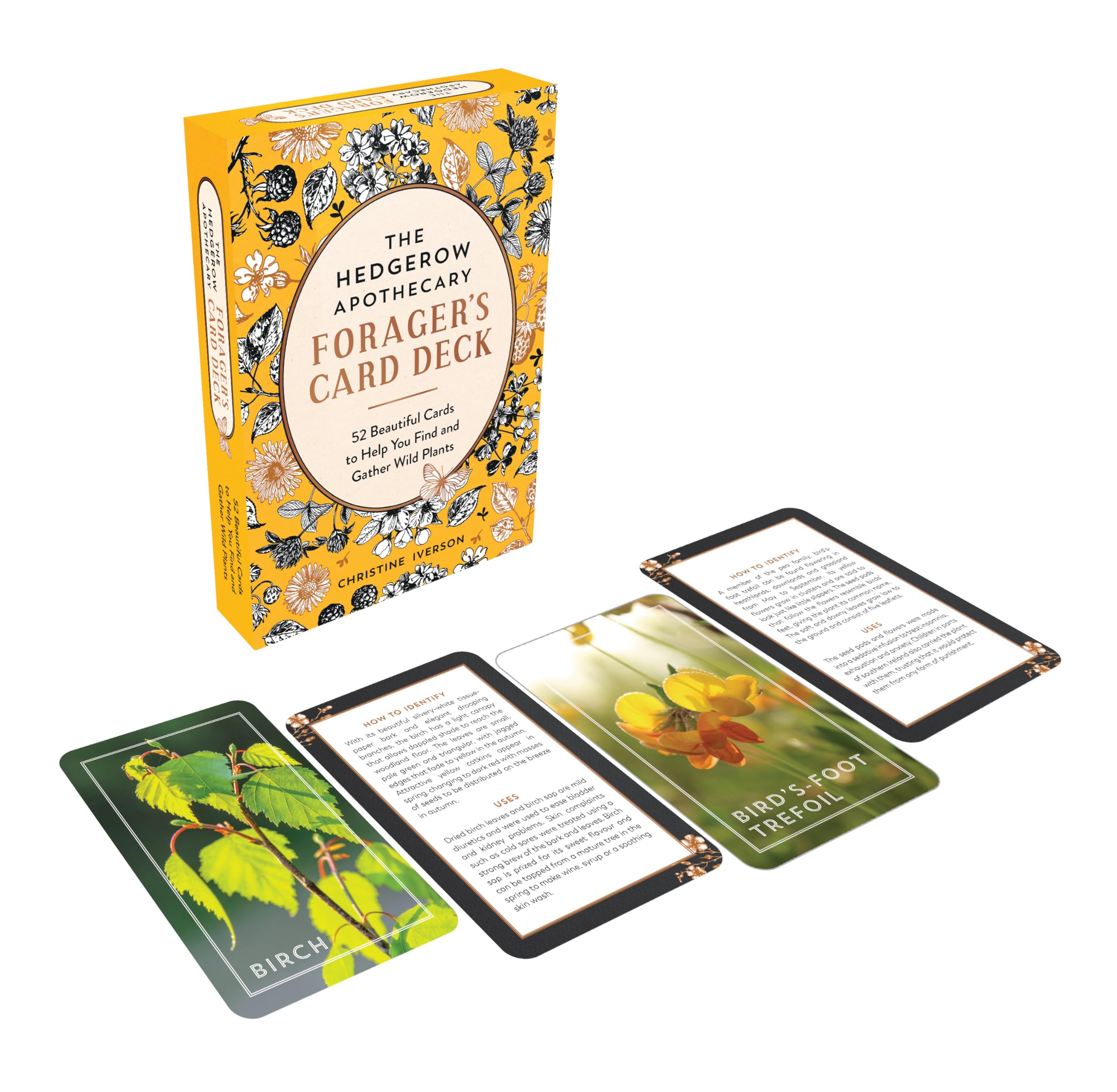 The Hedgerow Apothecary Forager's Card Deck: 52 Beautiful Identification Cards and Booklet to Help You Find and Gather Wild Plants