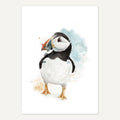 Puffin