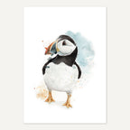 Puffin