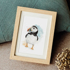 Puffin
