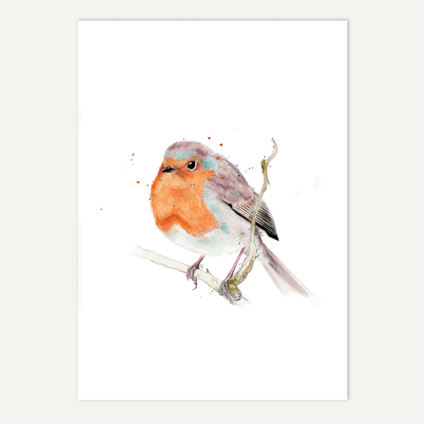 Robin