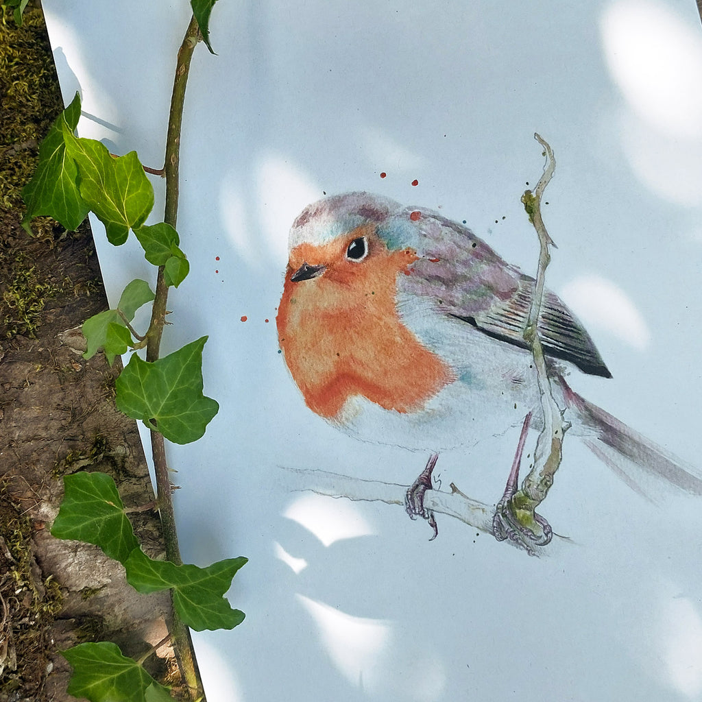 Robin