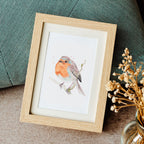 Robin