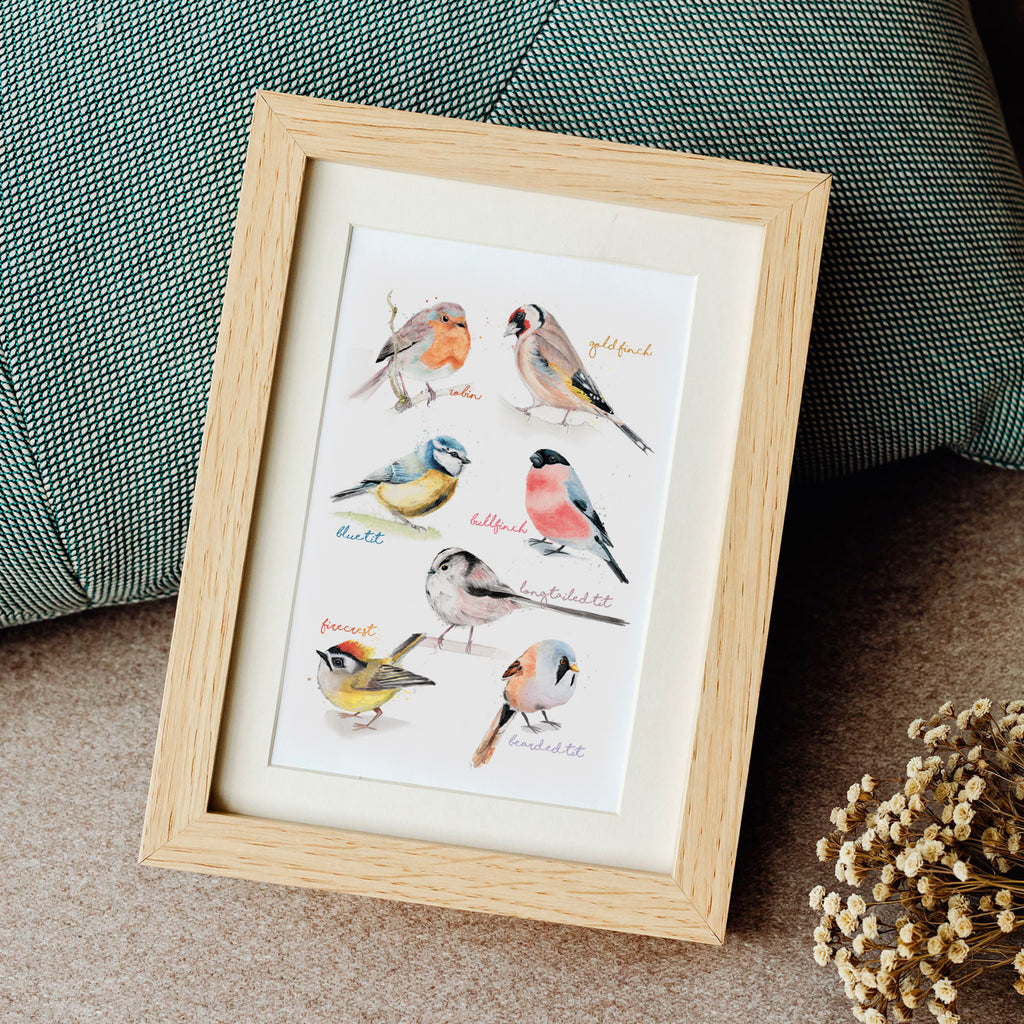 Mixed Small Birds