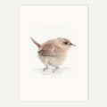 Wren