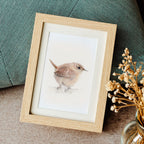 Wren