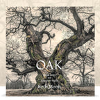Oak: From Seed to Ancient Tree by Beth Moon