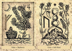The Runes and Roots Oracle by Nicolette Miele & Adrienne Rozzi