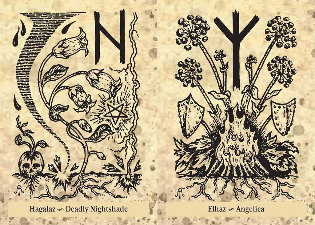 The Runes and Roots Oracle by Nicolette Miele & Adrienne Rozzi