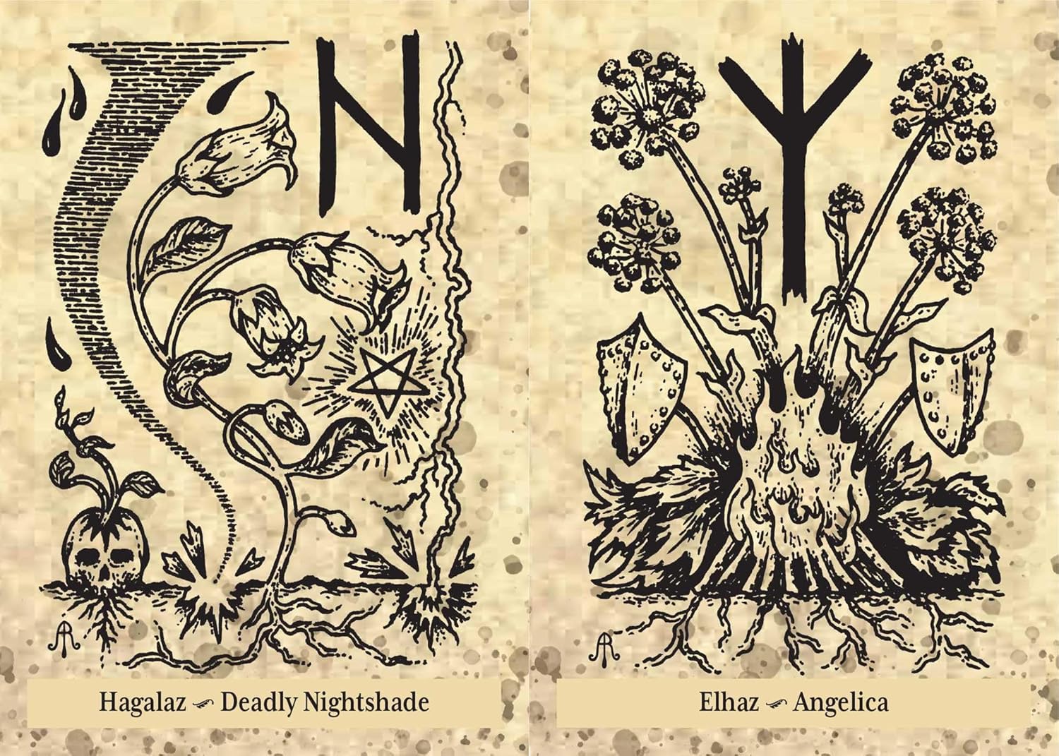 The Runes and Roots Oracle by Nicolette Miele & Adrienne Rozzi