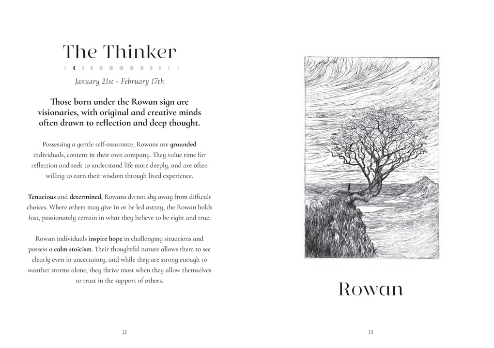 The Tree Zodiac: 13 Trees for 13 Moons by Luke Adam Hawker