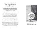 The Tree Zodiac: 13 Trees for 13 Moons by Luke Adam Hawker