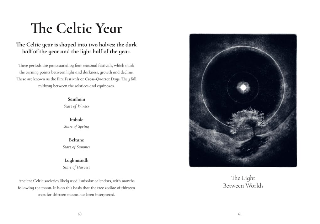 The Tree Zodiac: 13 Trees for 13 Moons by Luke Adam Hawker