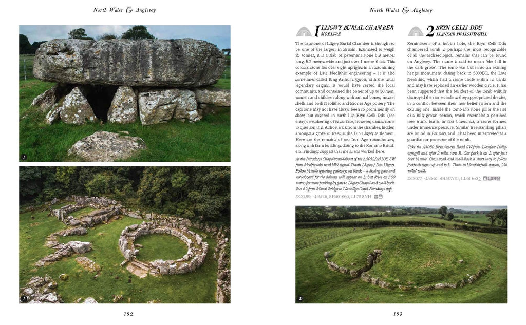 Wild Ruins BC: The explorer's guide to Britain's ancient sites by  Dave Hamilton