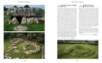 Wild Ruins BC: The explorer's guide to Britain's ancient sites by  Dave Hamilton