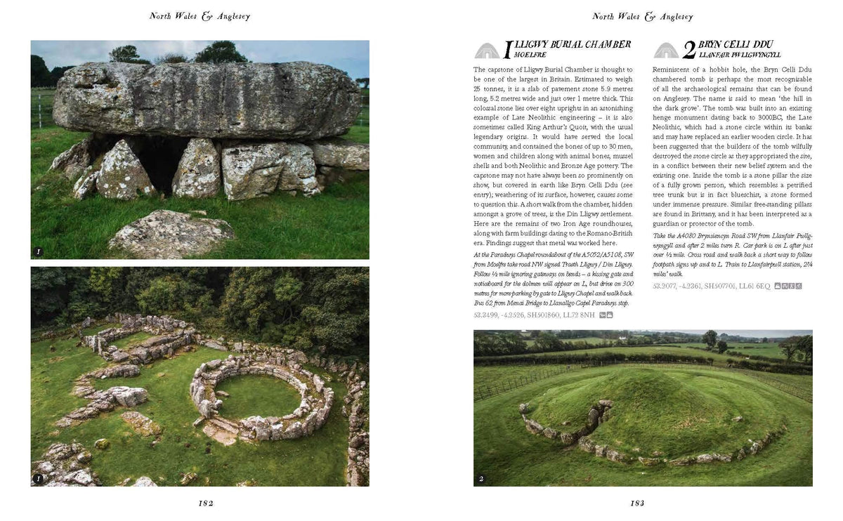 Wild Ruins BC: The explorer's guide to Britain's ancient sites by  Dave Hamilton