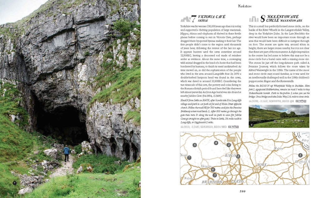 Wild Ruins BC: The explorer's guide to Britain's ancient sites by  Dave Hamilton